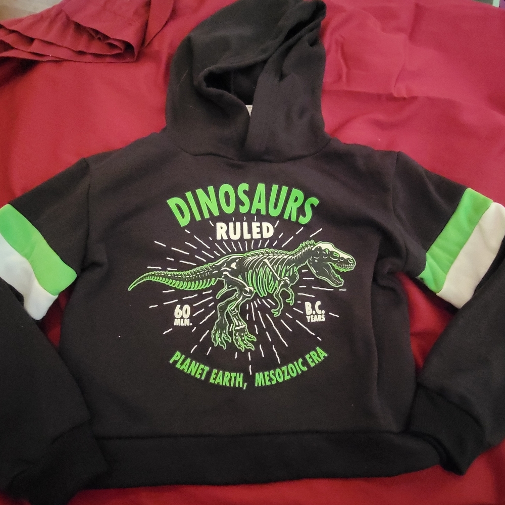 Swiggles blue hoodie
